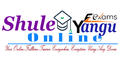 Shule Yangu Online